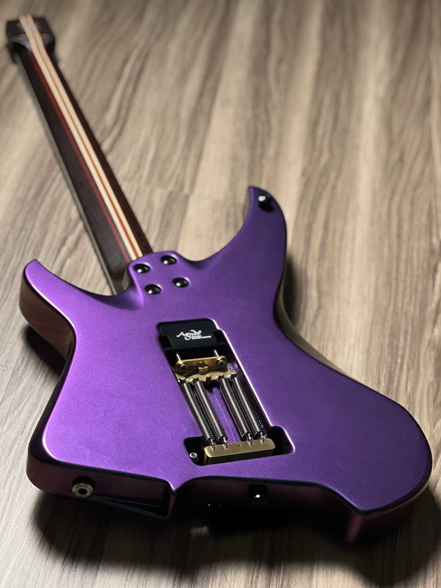 Aguda Black Hole HSS in Chameleon with Pearl White Pickguard