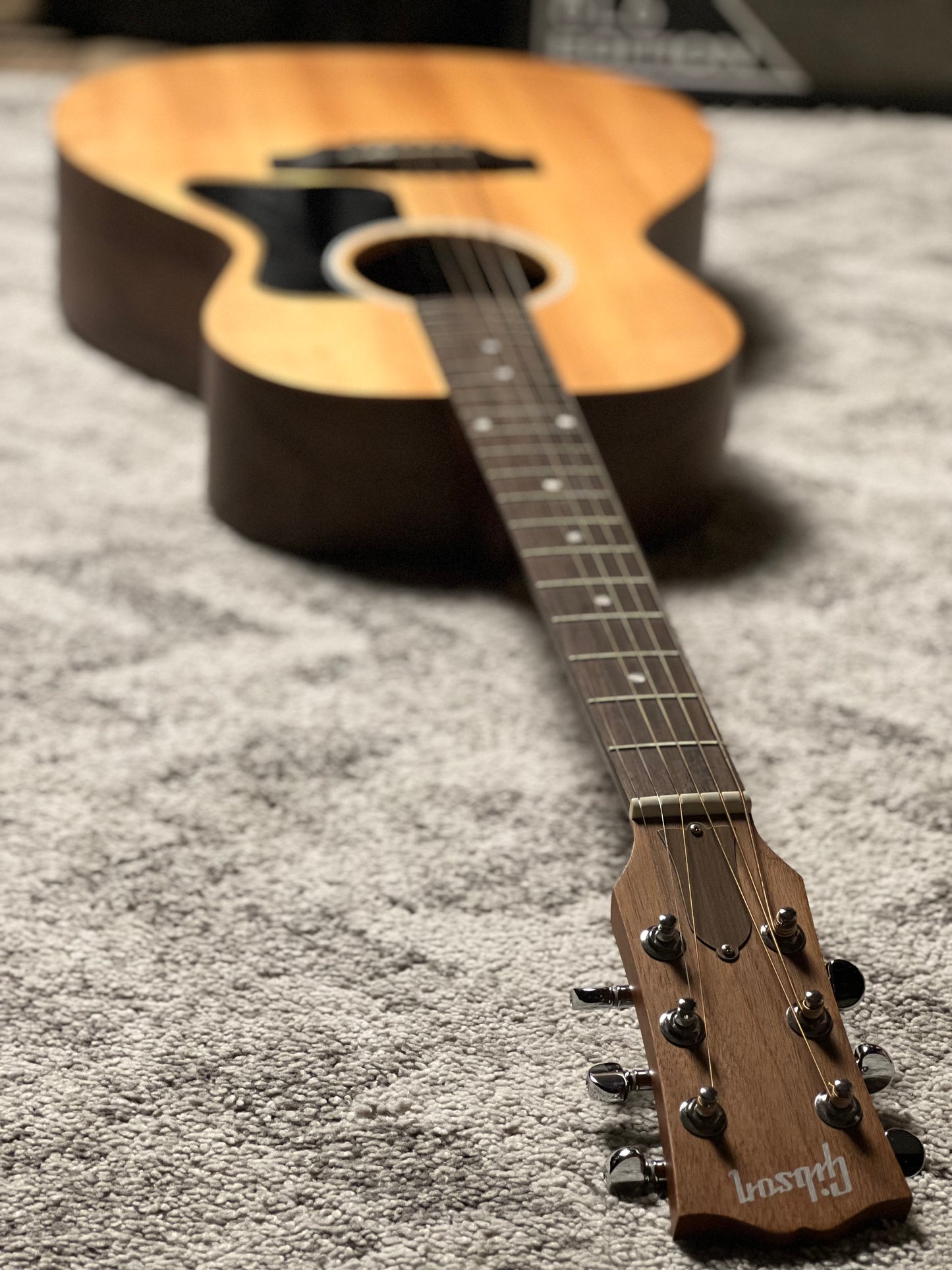 Gibson Montana G-00 Natural with Gig Bag