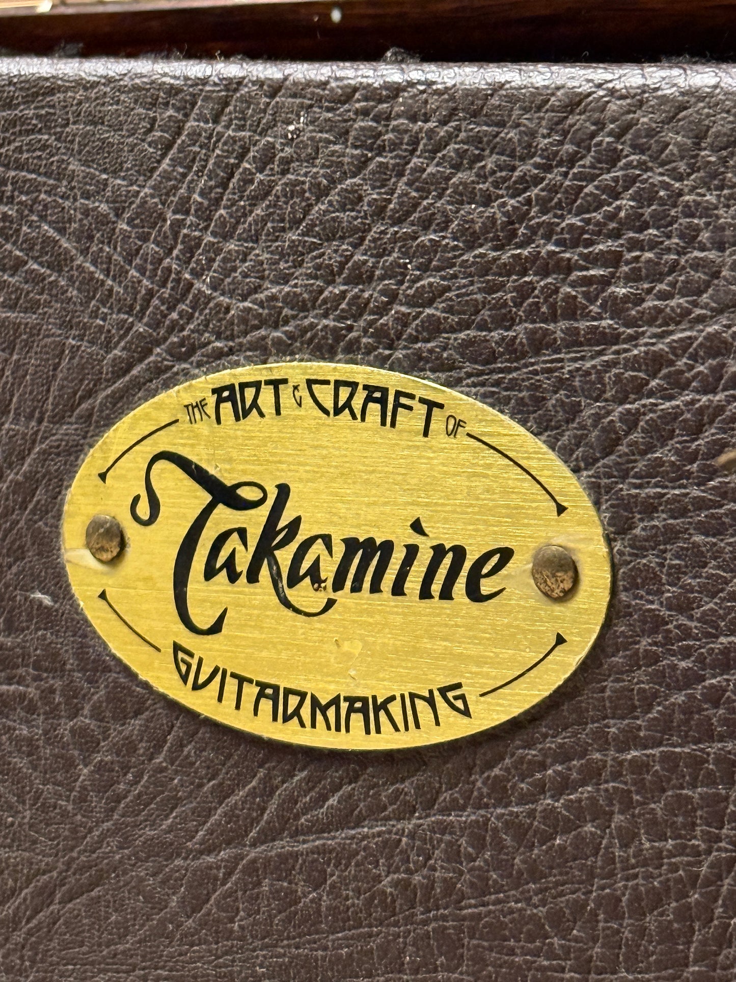 Takamine ETN10C Dreadnought Acoustic-Electric With Case in Satin Natural made in Japan (USED)