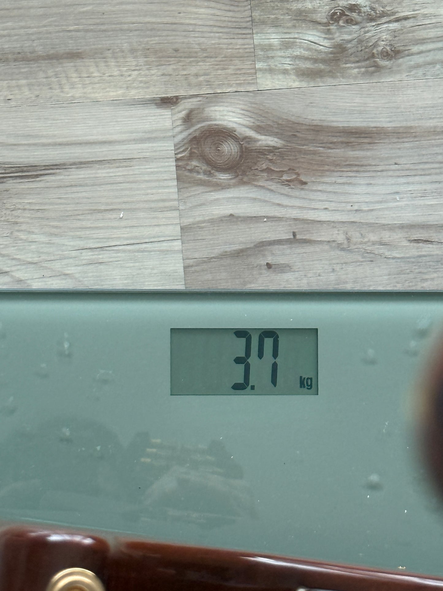 1996 PRS McCarty Rosewood Limited in Violin Amber #66 of 100 S/N 626555 (USED)