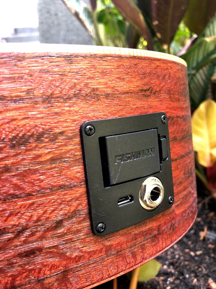 Cort Earth Mini F Adirondack Open Pore Natural