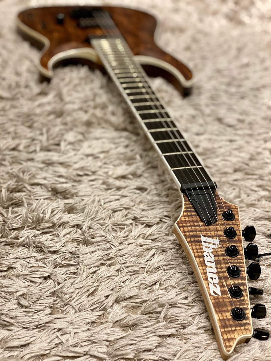Ibanez RGA Iron Label RGAIX6U - Antique Brown Stained