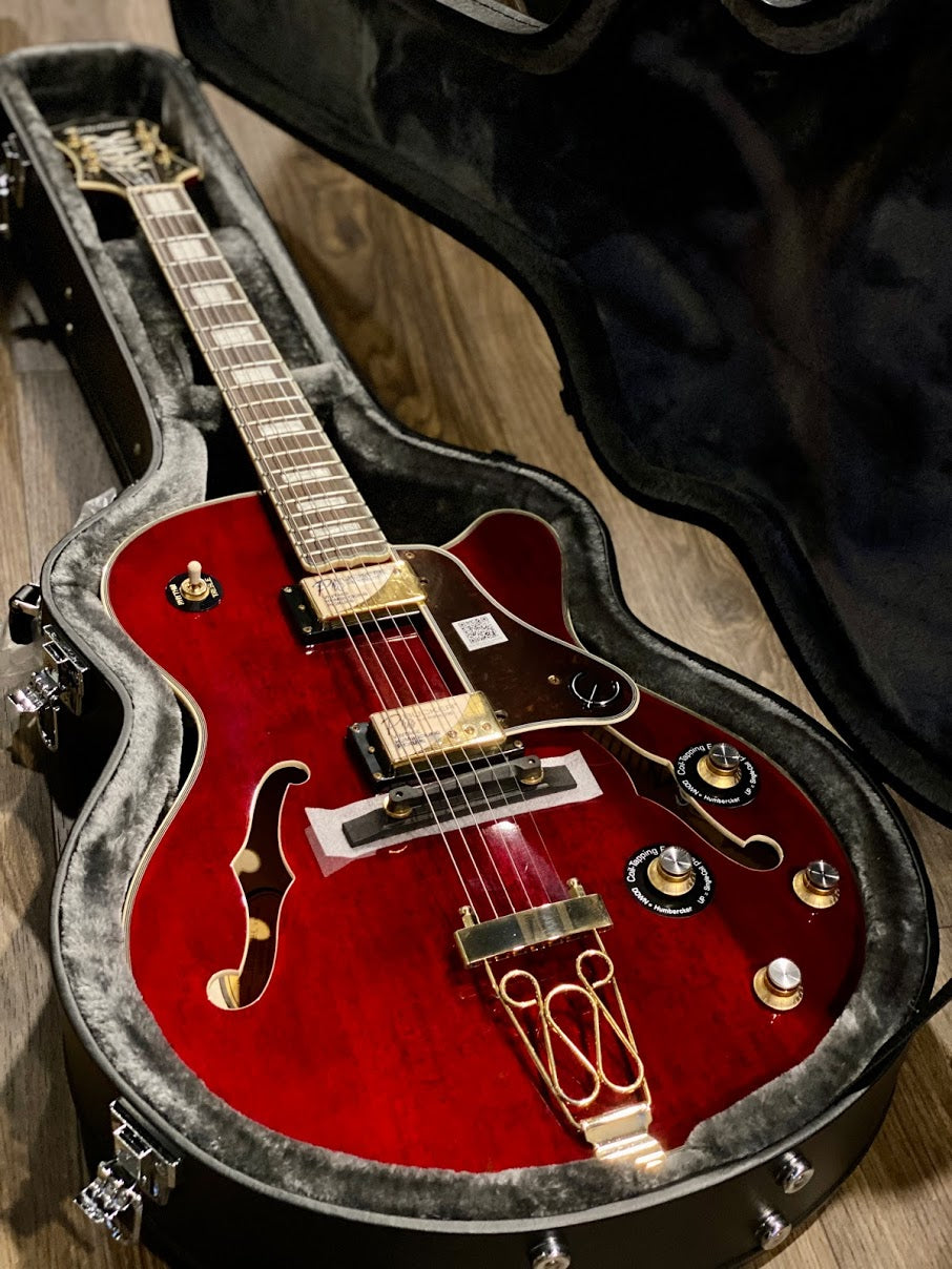 Epiphone Case for Emperor