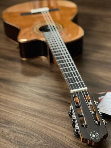 Tanglewood EM DC5 Thinline Nylon with Preamp in Natural