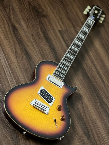 Epiphone Nancy Wilson Fanatic Outfit - Fireburst