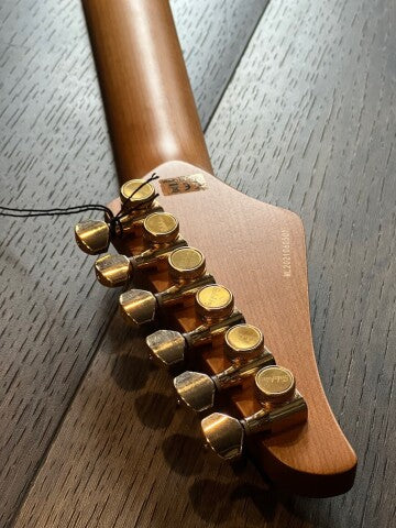 Soloking MS-1 Custom 24 HH Ash Flat Top Roasted Maple FB ใน Tri Fade Burst Nafiri Special Run