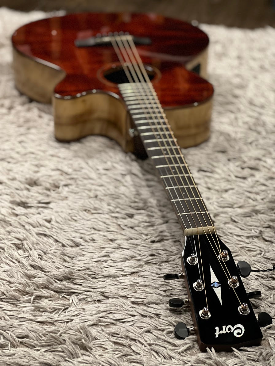 CORT SFX-Myrtlewood in Brown Gloss