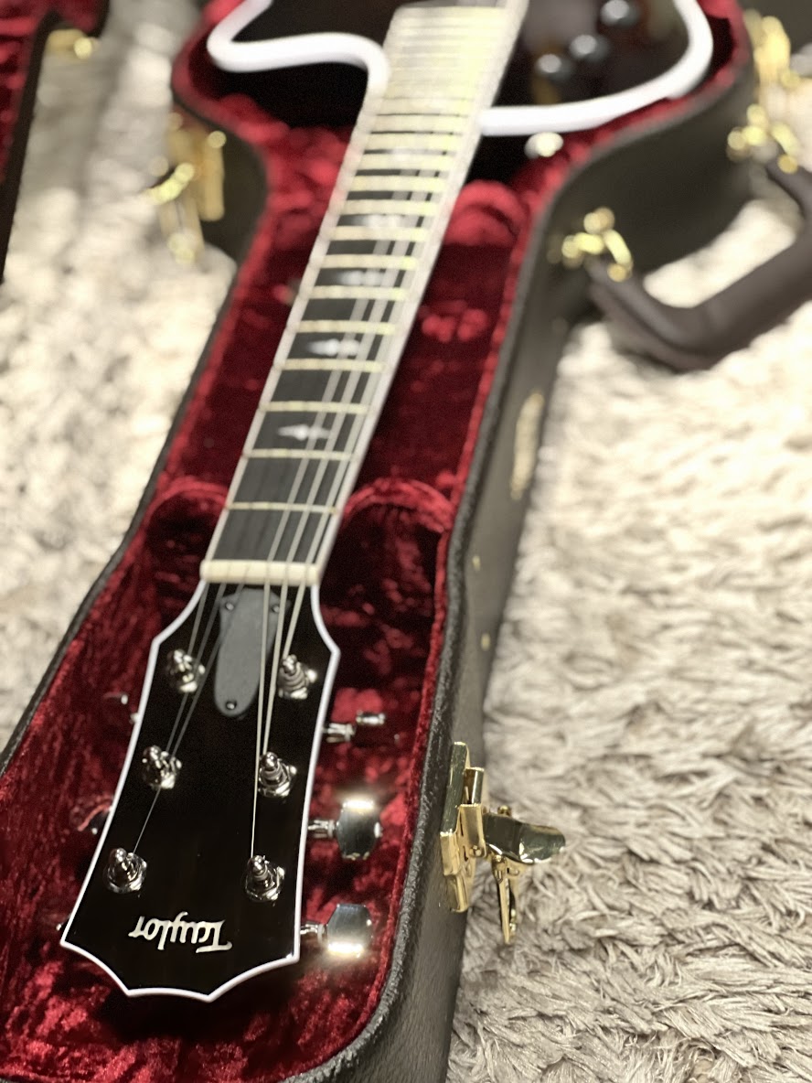 Taylor T5z Pro Hollowbody in Molasses Sunburst