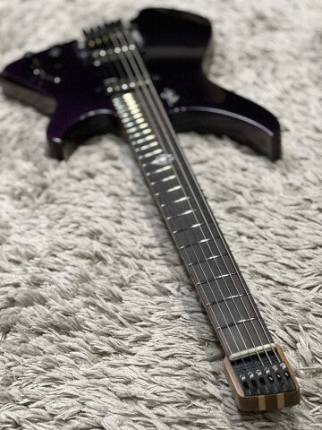 Aguda Black Hole in Chameleon