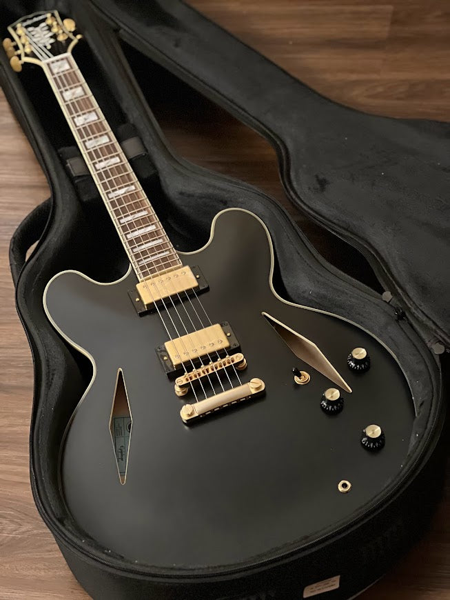 Epiphone sheraton store emily wolfe