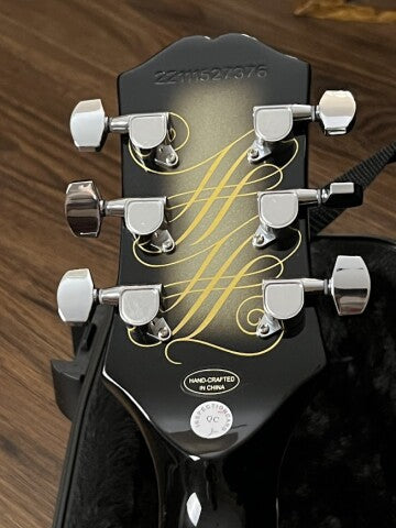 Epiphone Adam Jones Les Paul Custom Art Collection : Julie Heffernan's Incl. Protector Case