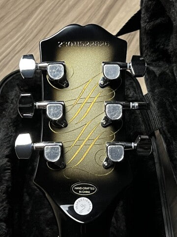 Epiphone Adam Jones Les Paul Custom Art Collection: "Self Portrait As Not Dead Yet" w/Case