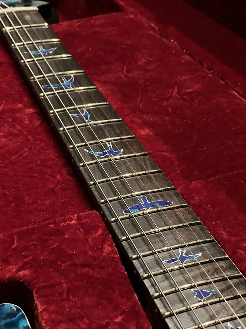 PRS หุ้นส่วนตัว Modern Eagle V ใน Sub Zero Glow 23367111