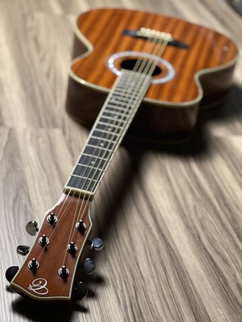 Chard GS 31 Acoustic Electric in Mahogany with Fishman ISYS+ Preamp