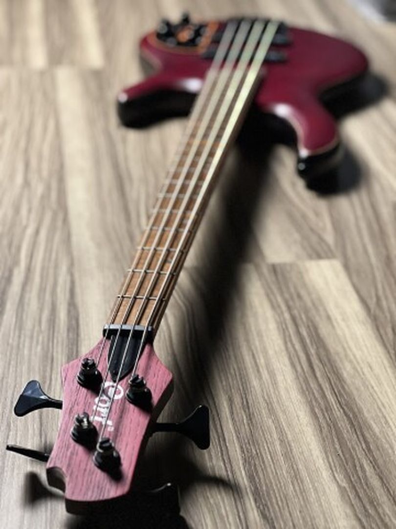 Cort B4 Element OPBR in Open Pore Burgundy Red