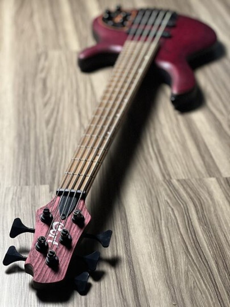 Cort B5 Element OPBR in Open Pore Burgundy Red