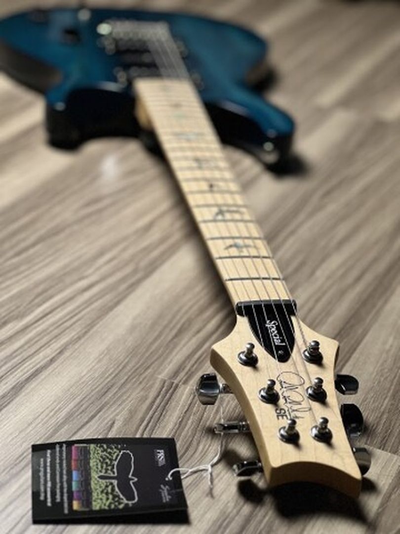 PRS SE Swamp Ash Special in Iri Blue