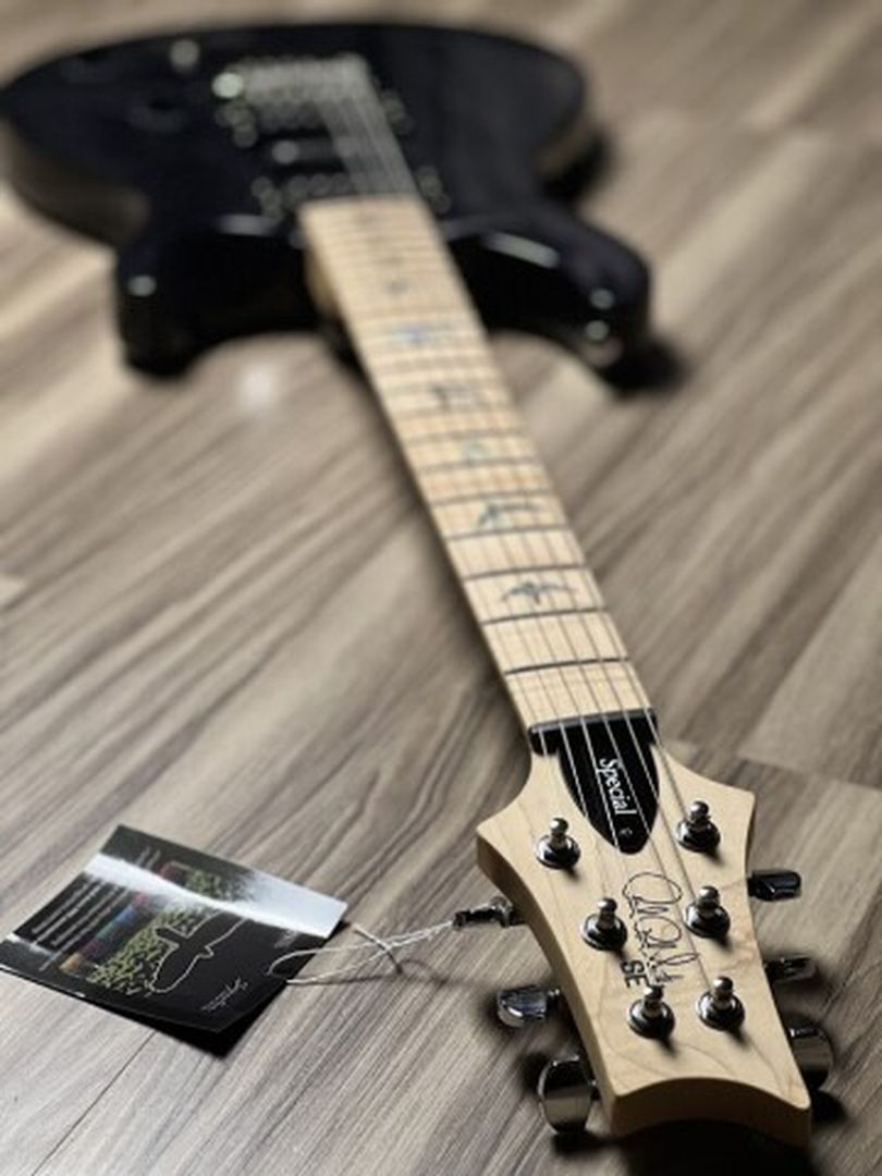 PRS SE Swamp Ash Special in Charcoal