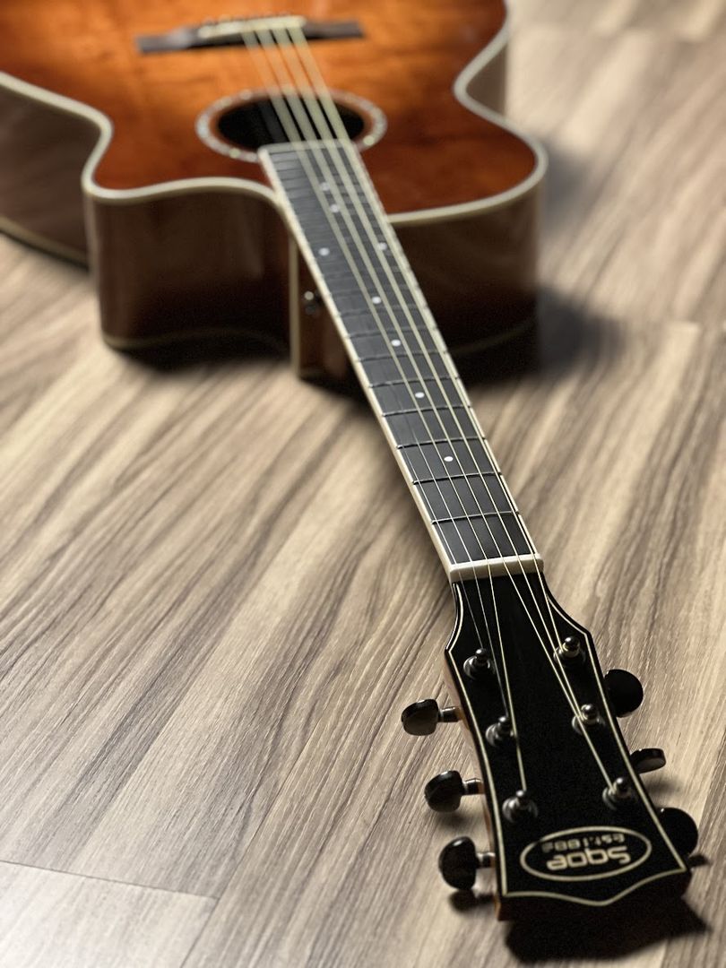 SQOE Spain S340FG CS TransAcoustic with Effects in Autumn Burst