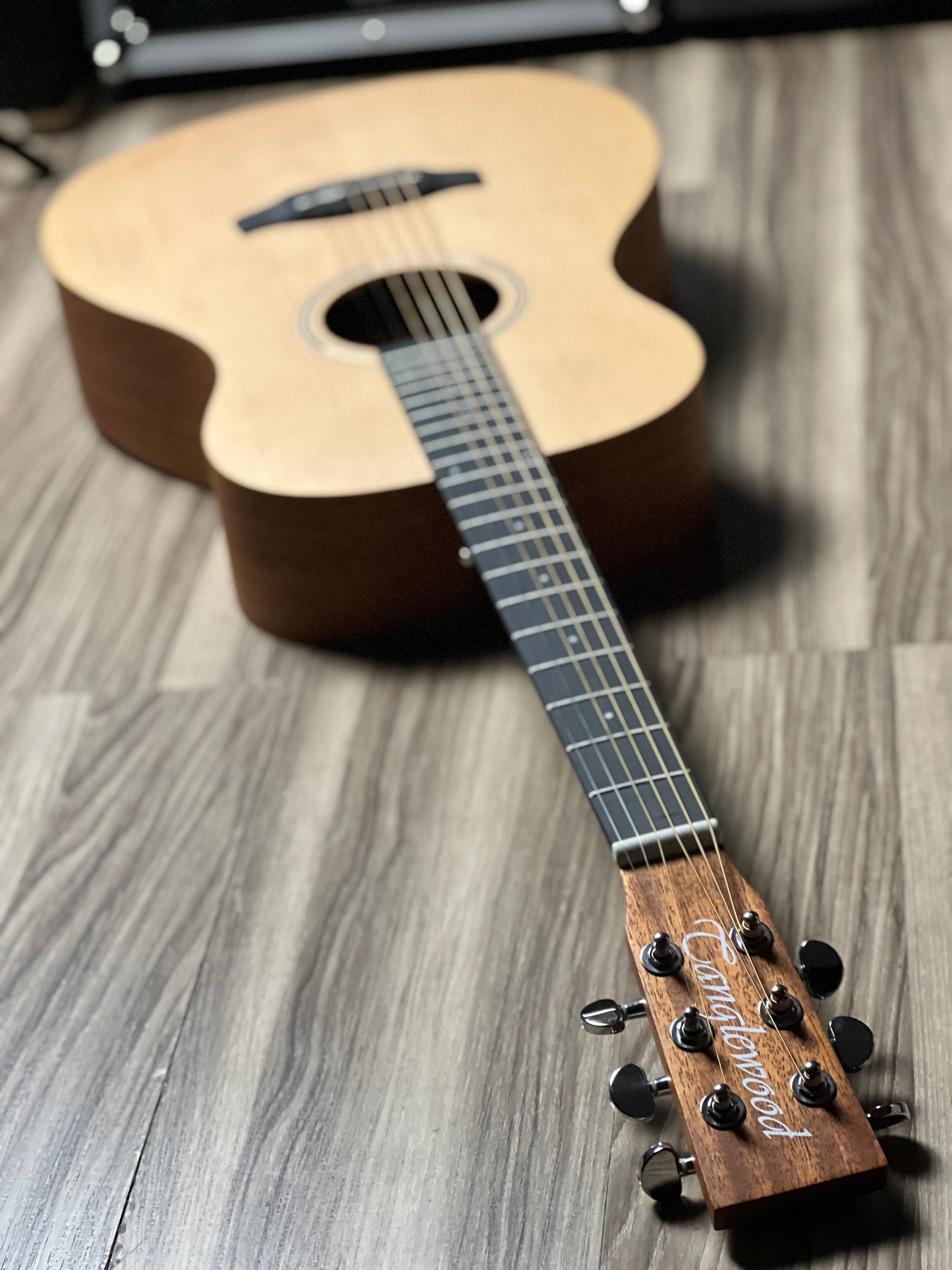 Tanglewood TR8E Parlour Size in Natural Open Pore Finish w/Bag