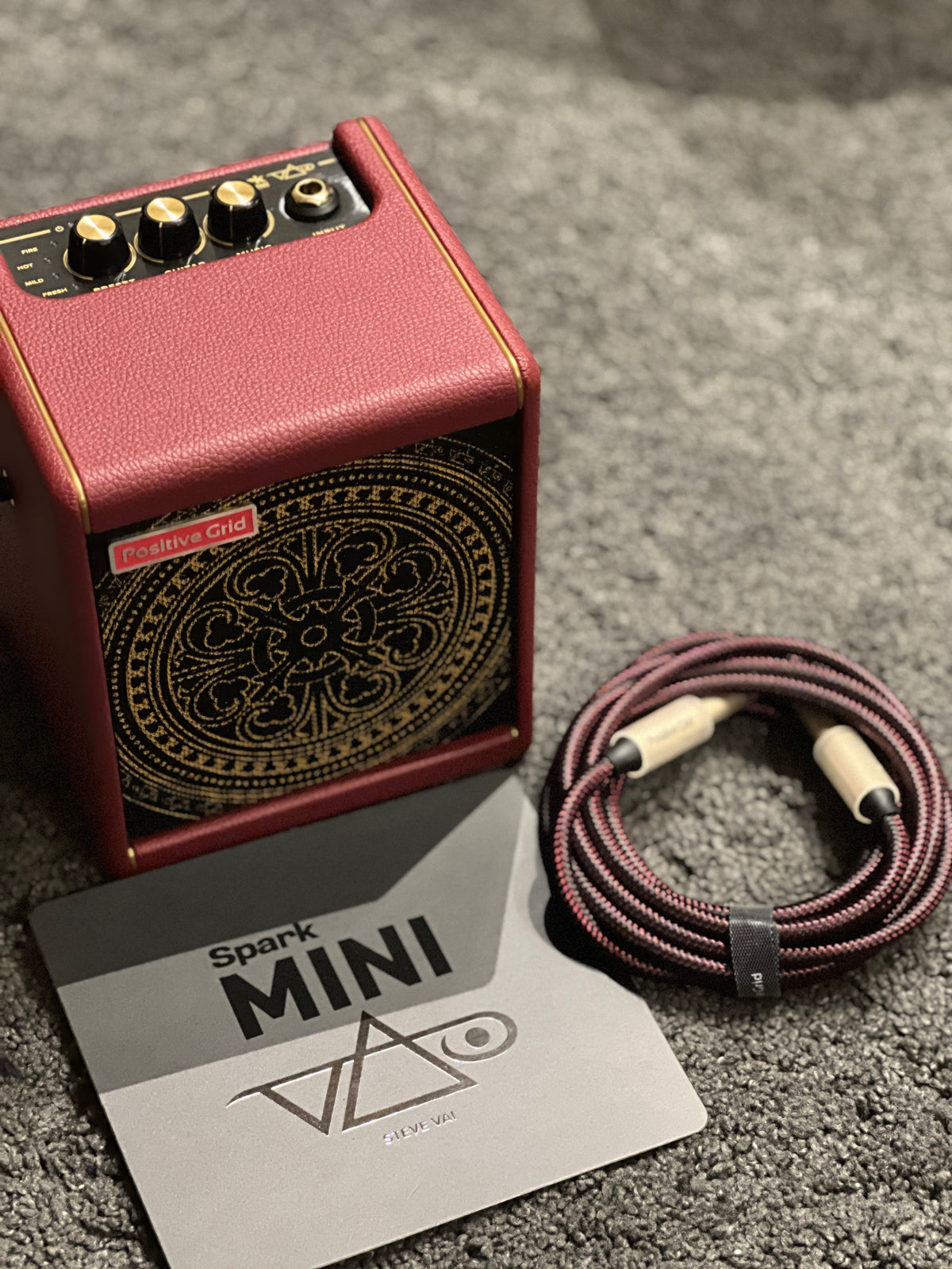 Positive Grid Spark Mini Steve VAI Edition – nafiriguitar.com