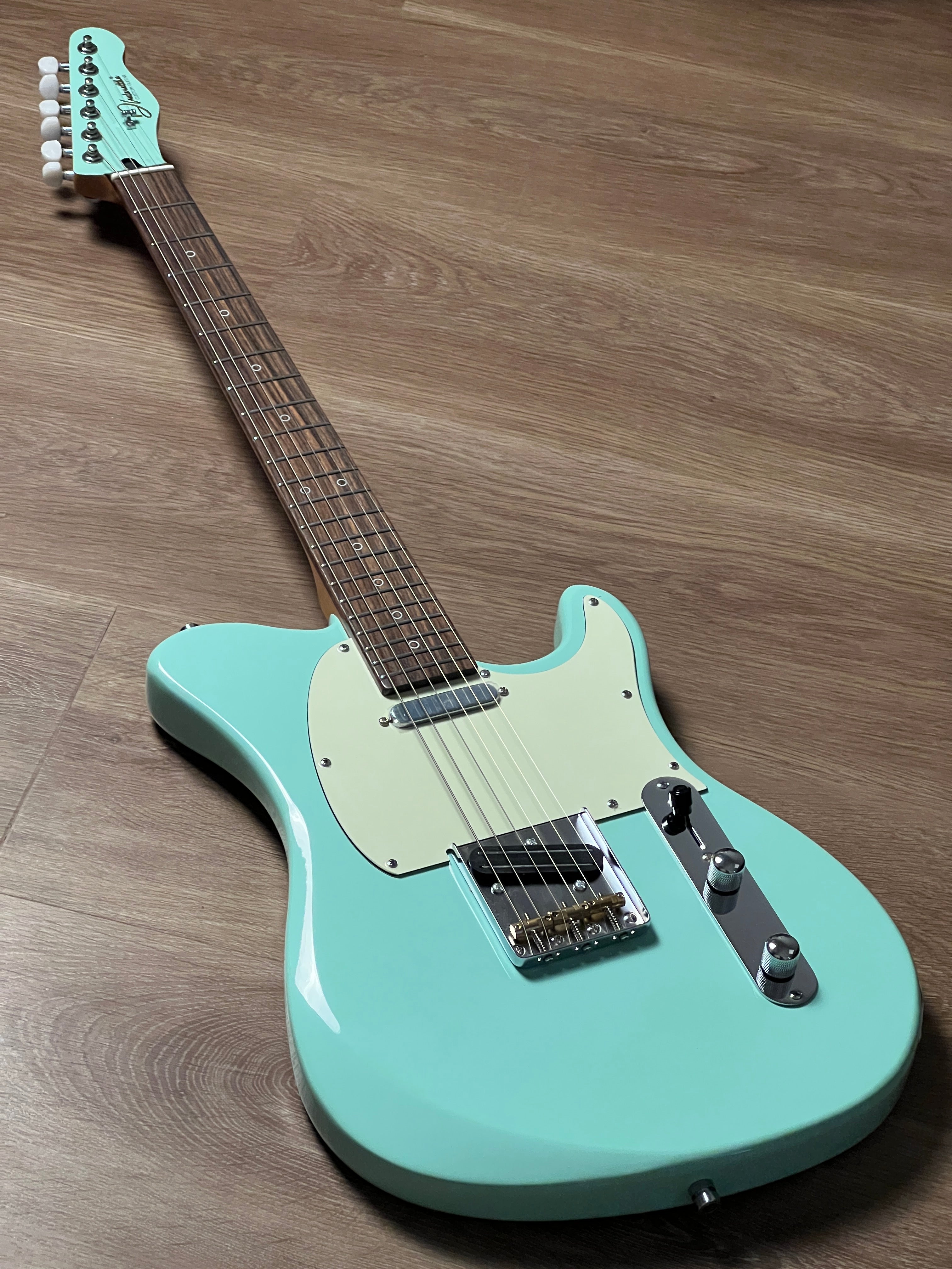 Dhatarattha Basic DTL in Surf Green with Rosewood FB – nafiriguitar.com