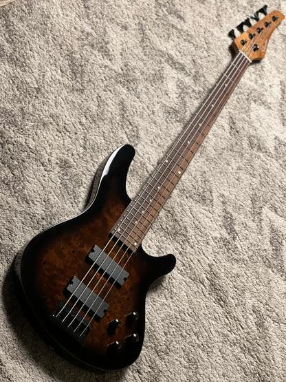 Schecter C-5 Standard 5-string in Tobacco Burl