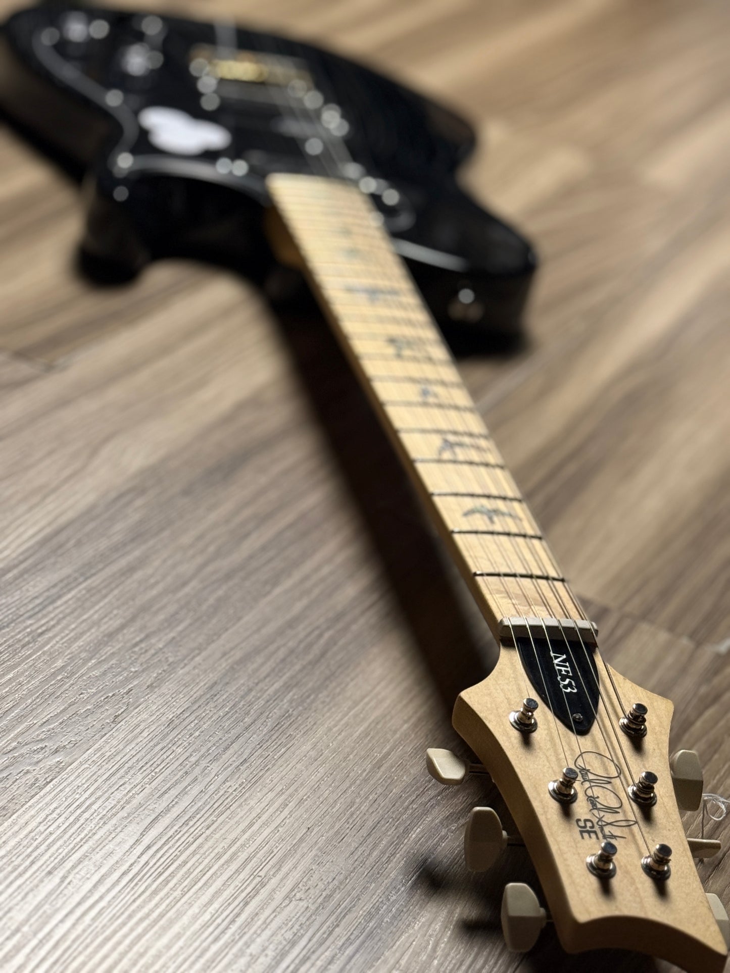PRS SE NF 53 Ash Body DD S Pickups in Black Doghair w/Gig Bag