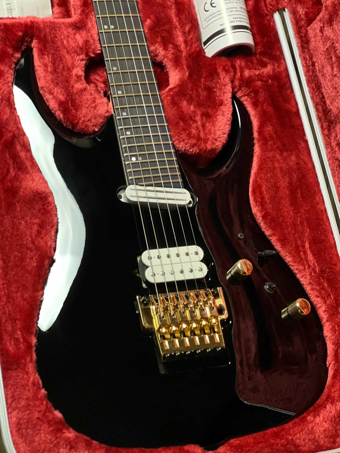 Ibanez Axion Label RGA622XH w/Case in Black F2524390