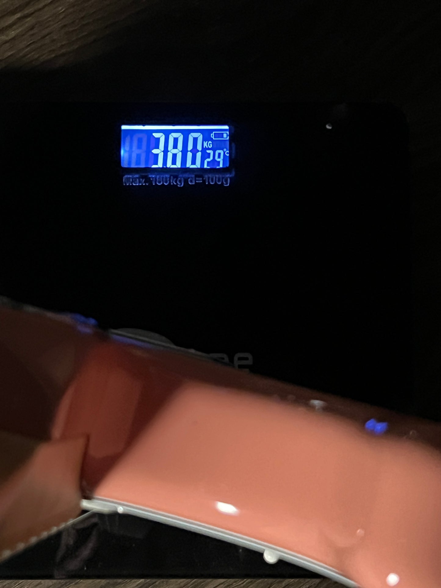 Shijie STE-CLASSIC HSS in Shell Pink with Maple FB 2024090