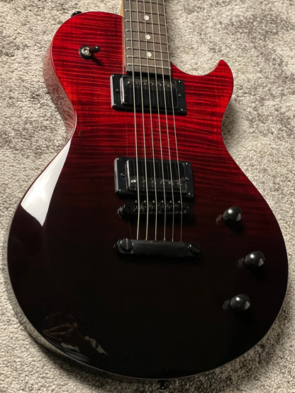 Schecter Solo-II Standard in Blood Burst