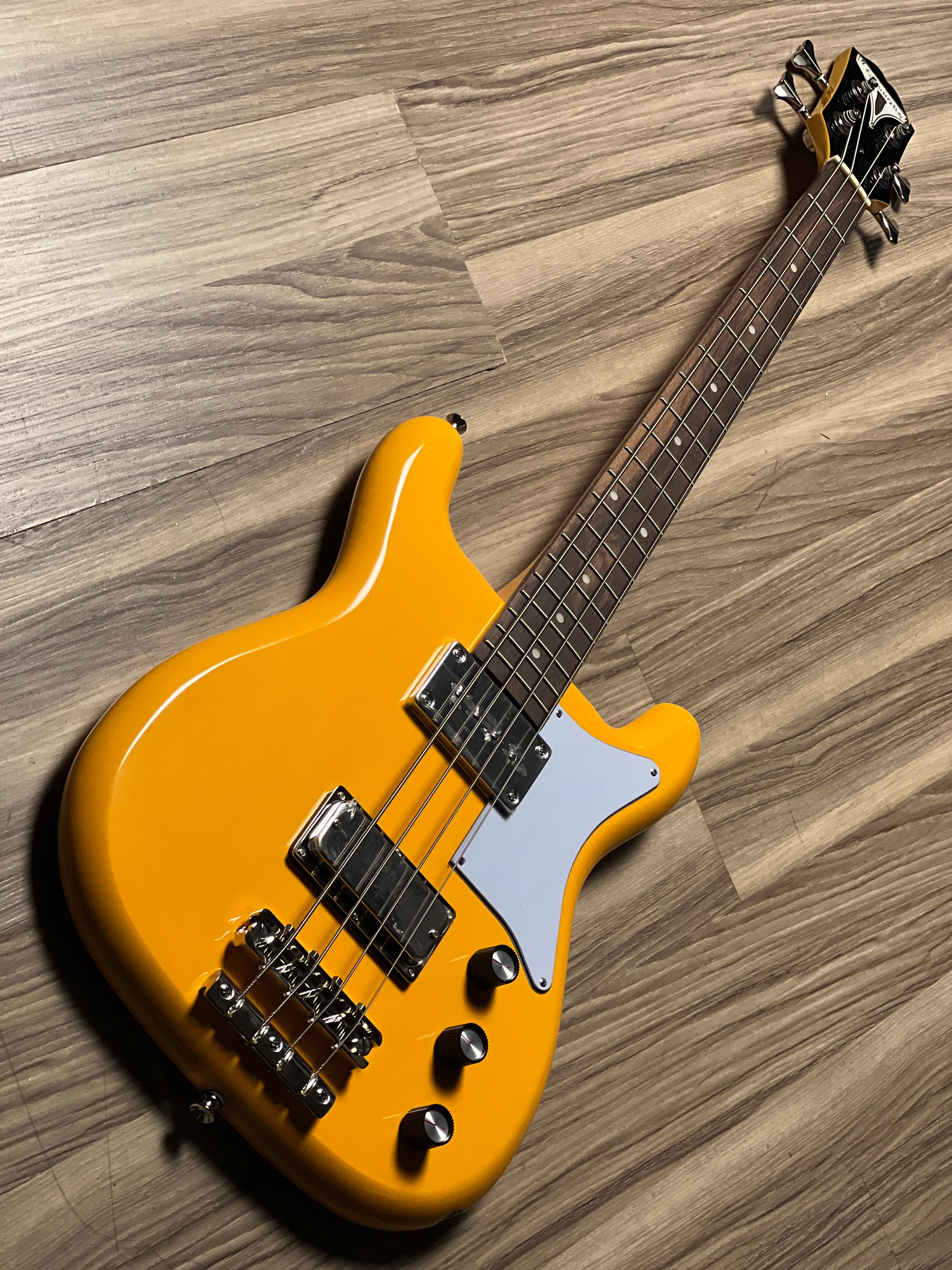 ベース Epiphone Newport Bass California Coral Epiphone Bass Newport - Embrace the California Coral Style