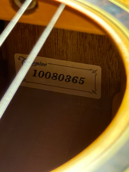 Takamine ETN10C Dreadnought Acoustic-Electric With Case in Satin Natural made in Japan (USED)