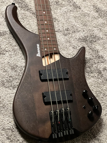 Ibanez Bass Workshop EHB600-WNF Bass Guitar in Walnut Flat