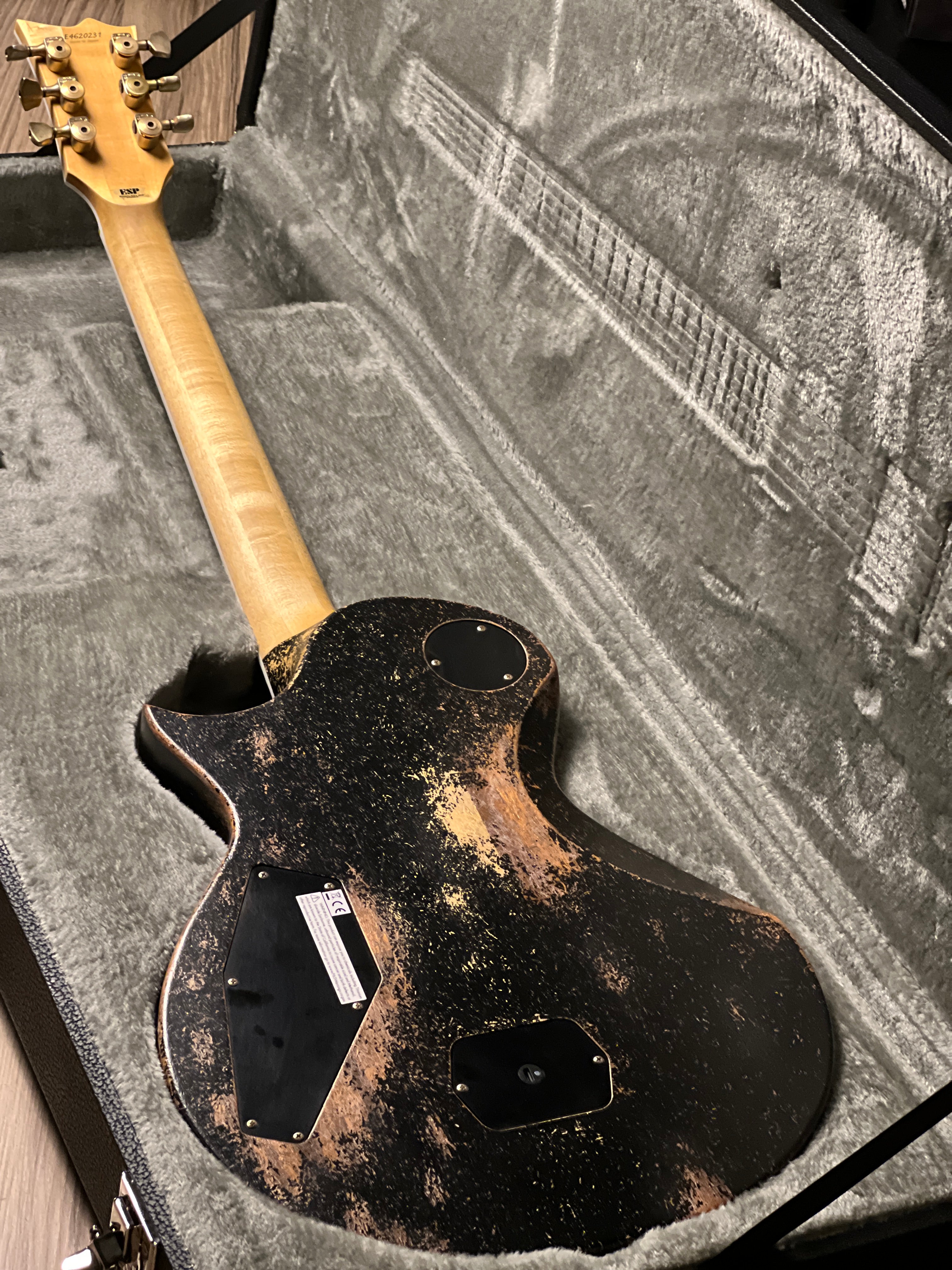 ESP Will Alder Signature Warbird Custom Shop in Distressed