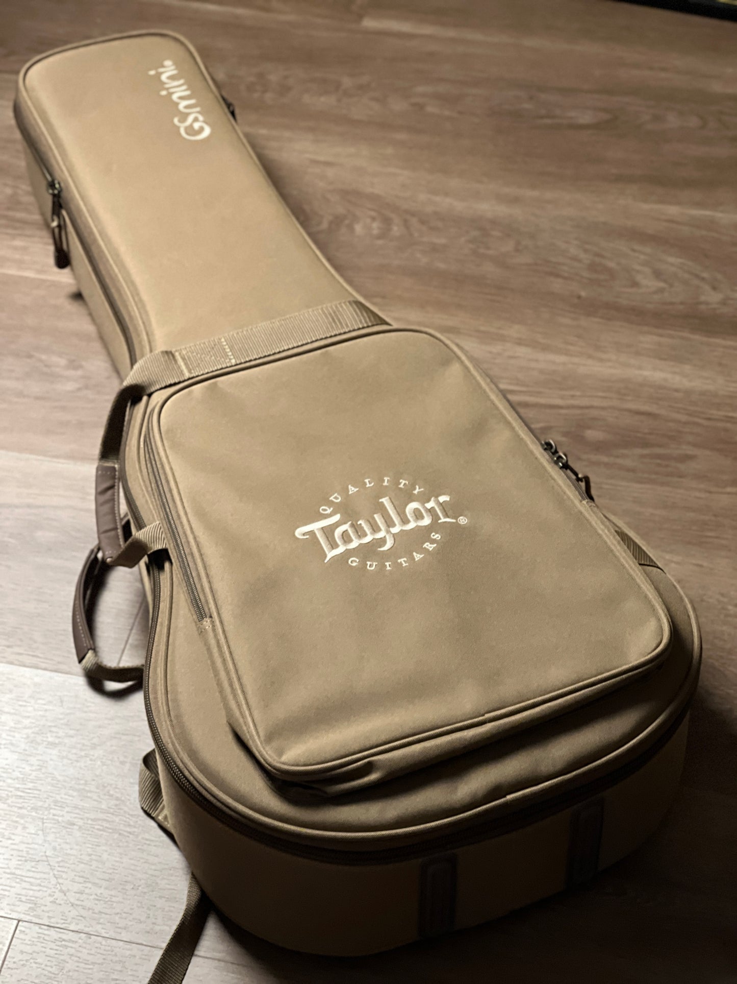 Taylor GS Mini-E Special Edition Acoustic Guitar w/Bag in Trans Black