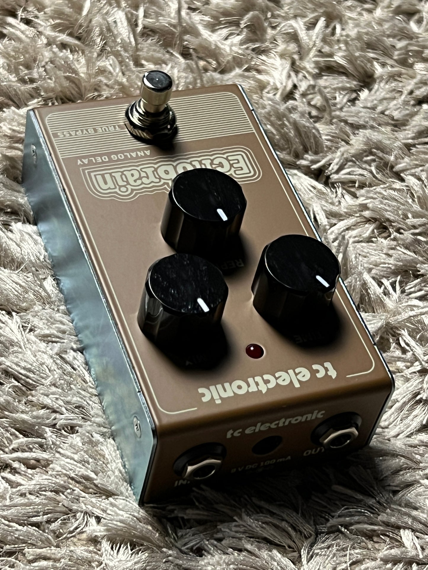 TC Electronic Echobrain Analog Delay