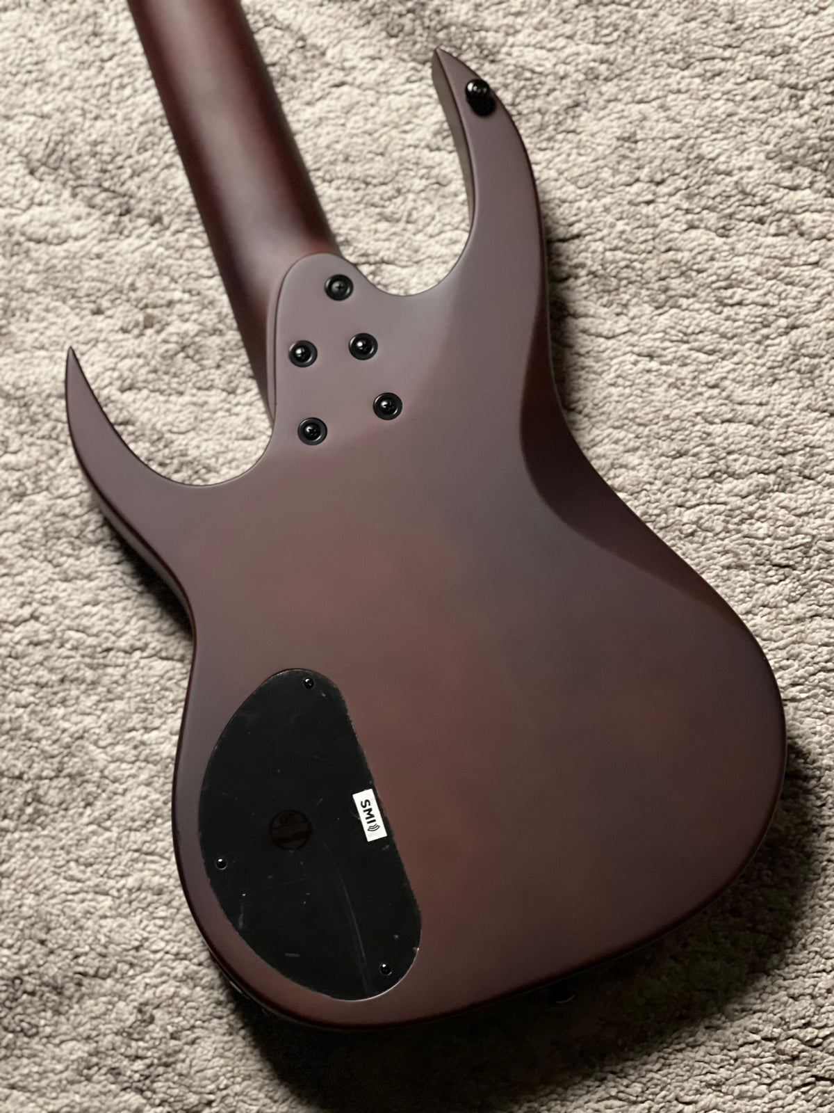 Solar AB4.5DN-E 5 String Bass in Dark Natural