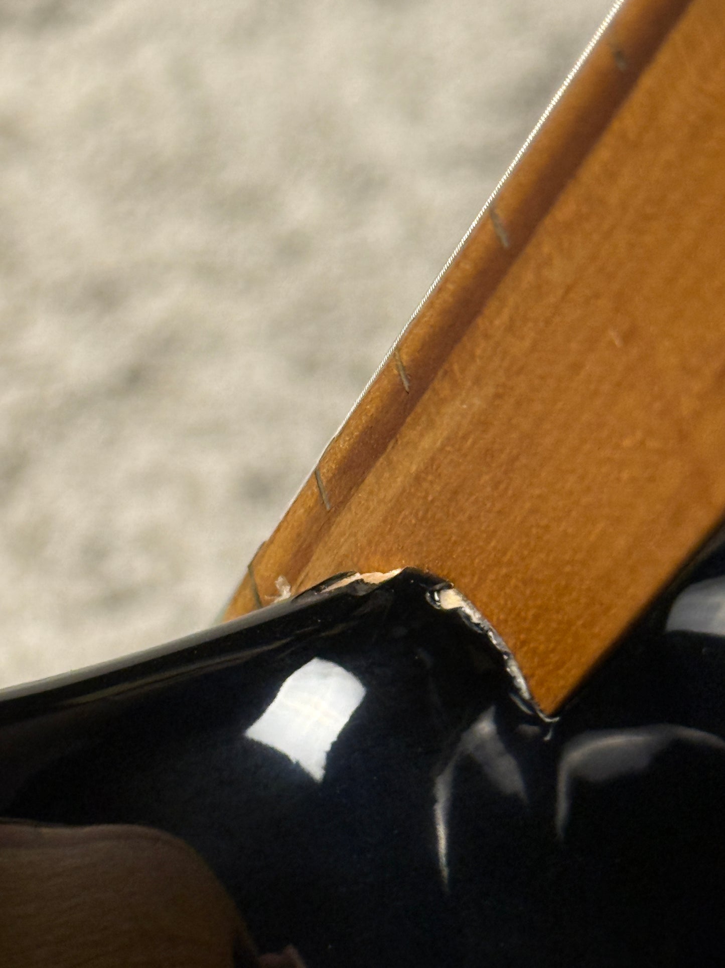 SQOE SJB650 Roasted Maple Series 5 String Bass in Black (B STOCK)