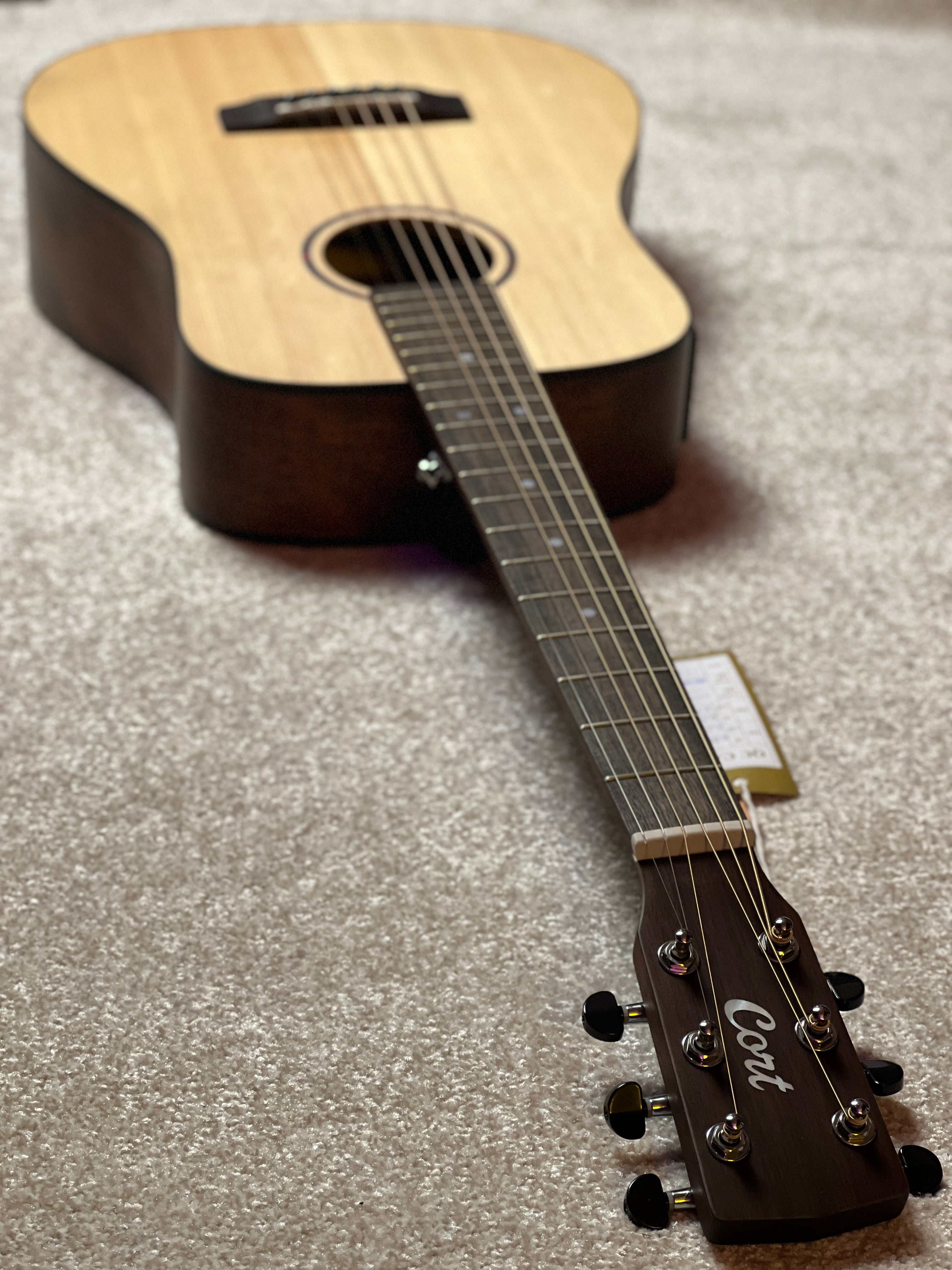 Cort Earth GO in Open Pore – nafiriguitar.com