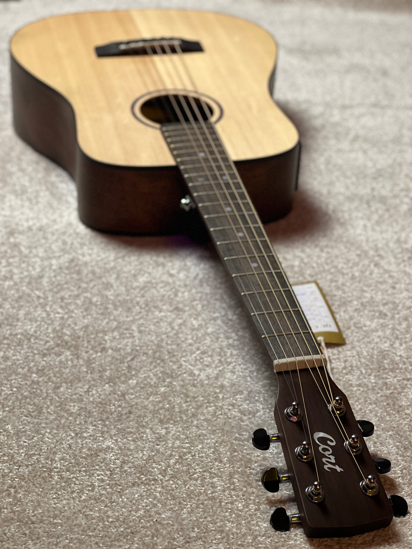 Cort Earth GO in Open Pore