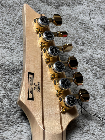 Ibanez PGM50 Paul Gilbert Signature Electric Guitar in Black 240310732