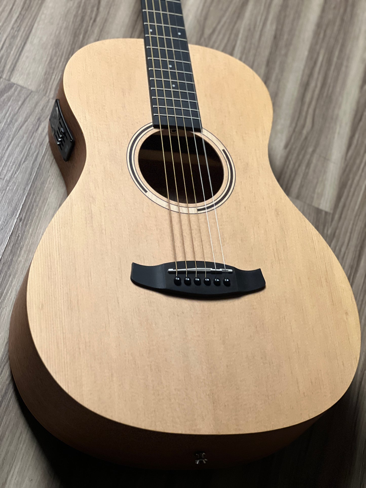 Tanglewood TR8E Parlour Size in Natural Open Pore Finish w/Bag