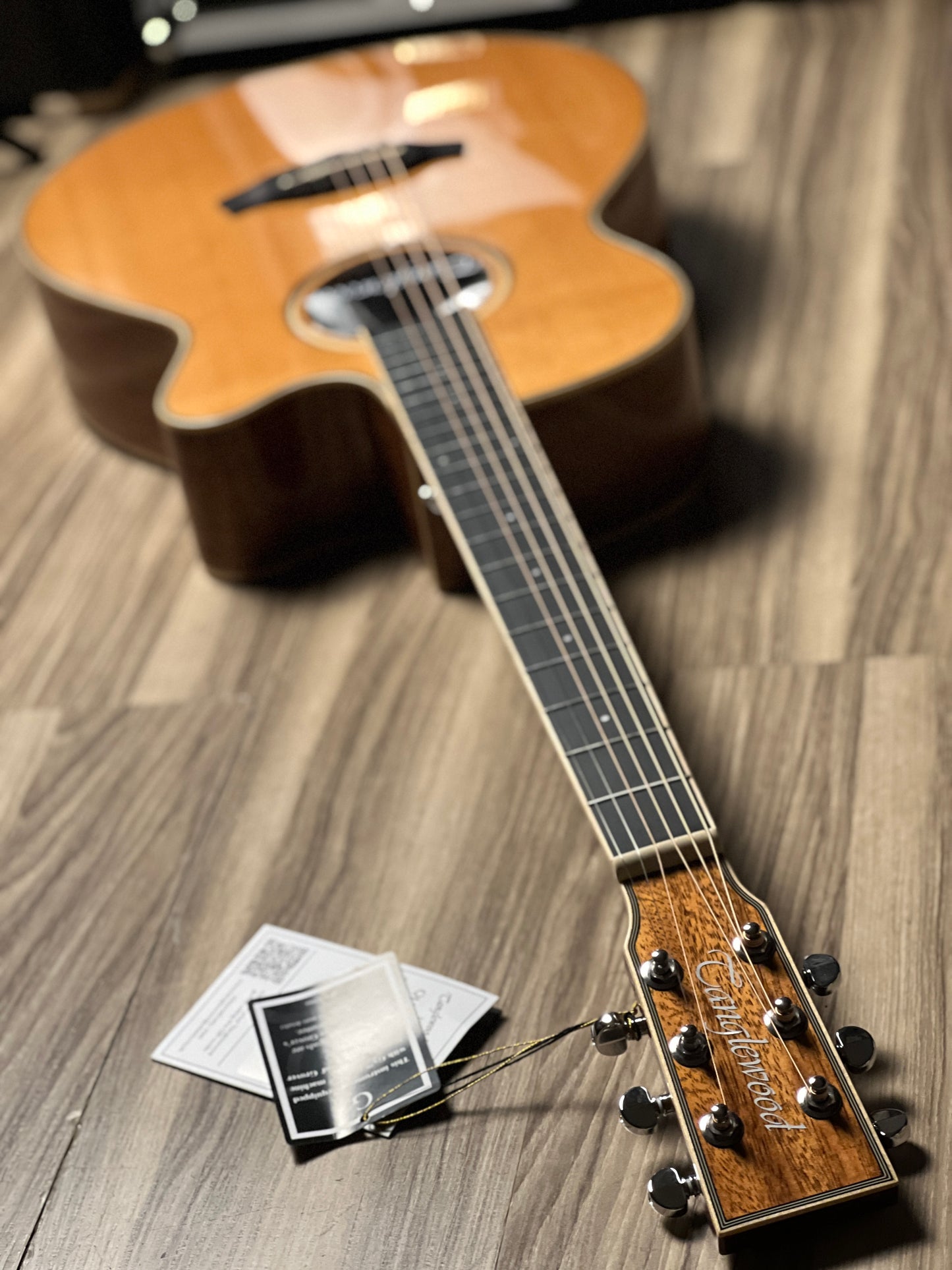 Tanglewood TW4CENA Winterleaf Super Folk Cutaway in Natural Gloss w/Bag