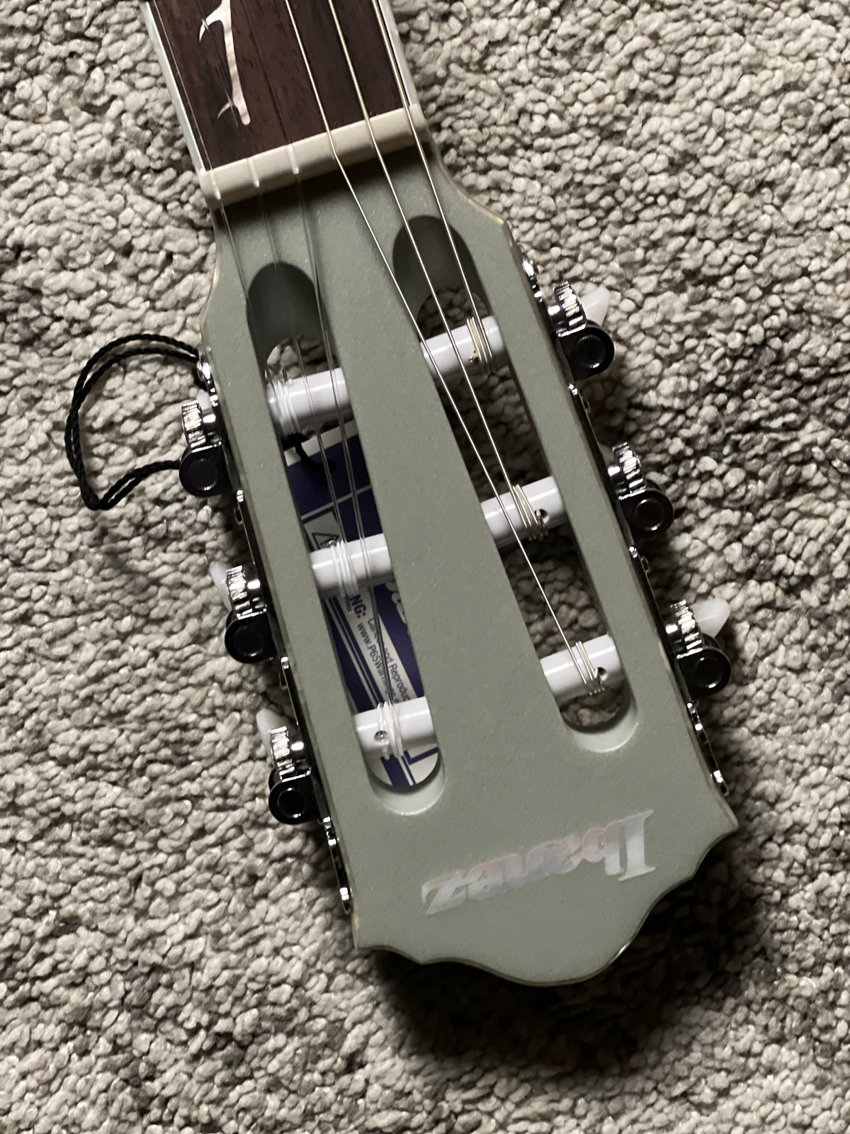 Ibanez TOD10N-SMF Tim Henson Signature Nylon String in Silver Metallic Flat