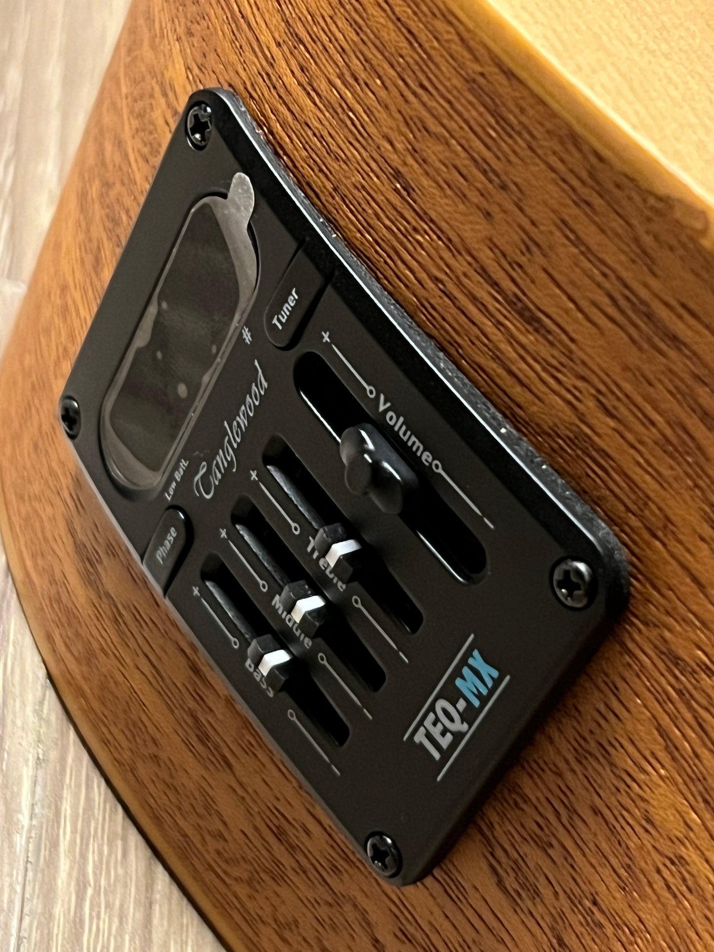 Tanglewood TR8E Parlour Size in Natural Open Pore Finish w/Bag