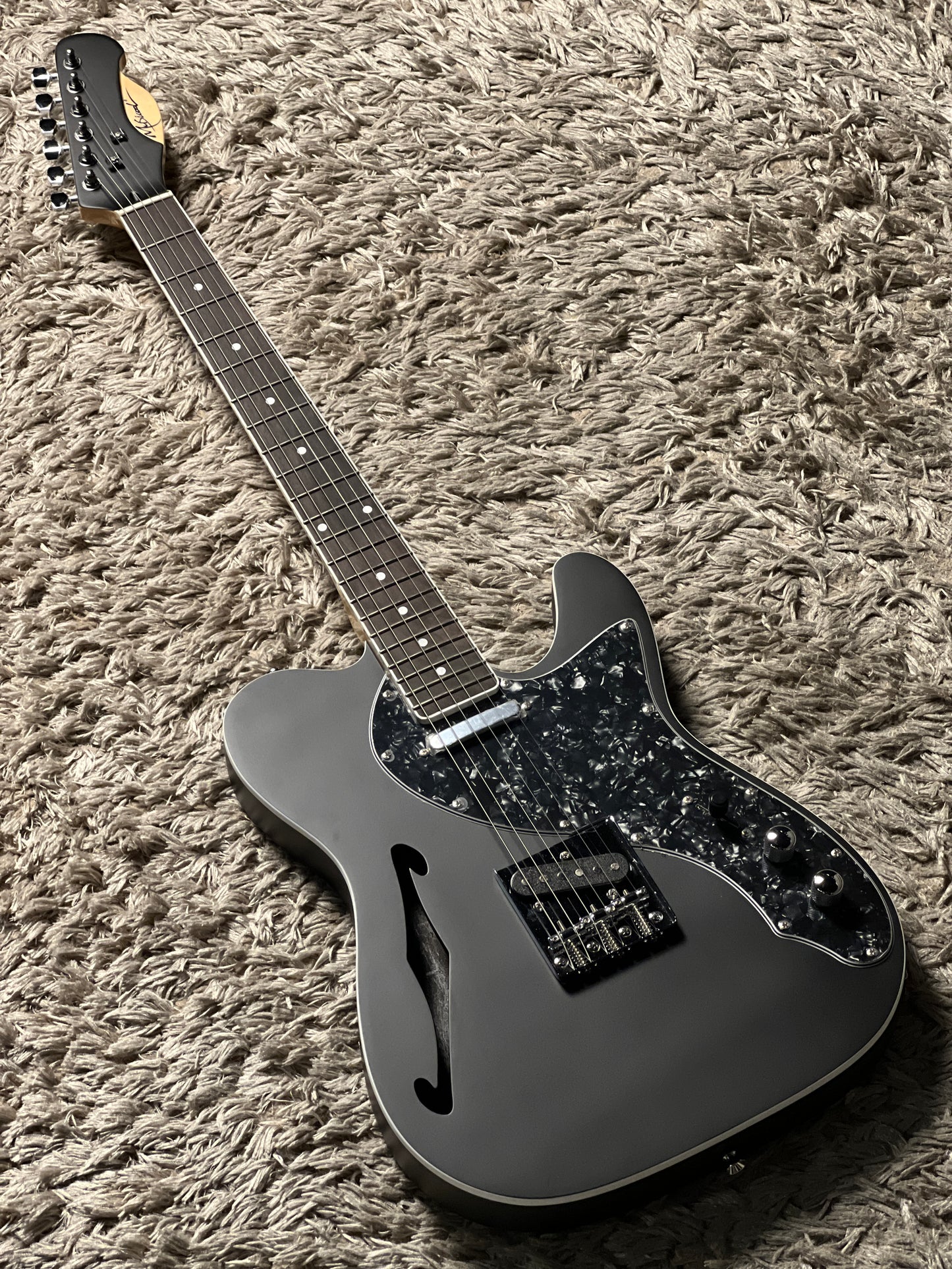 SLX Musicool Raven Thinline in Stealth Black with Rosewood FB