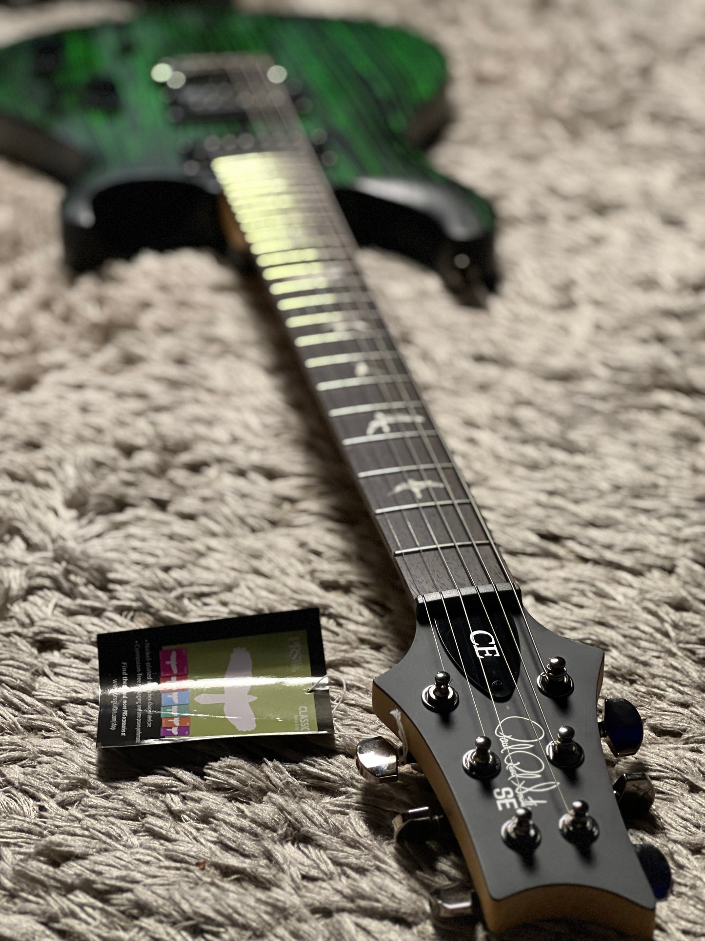 PRS SE CE24 Sandblasted Limited Edition In Green