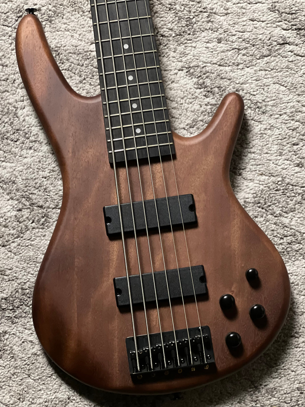 Ibanez GSR206B-WNF 6-String Bass Guitar in Walnut Flat