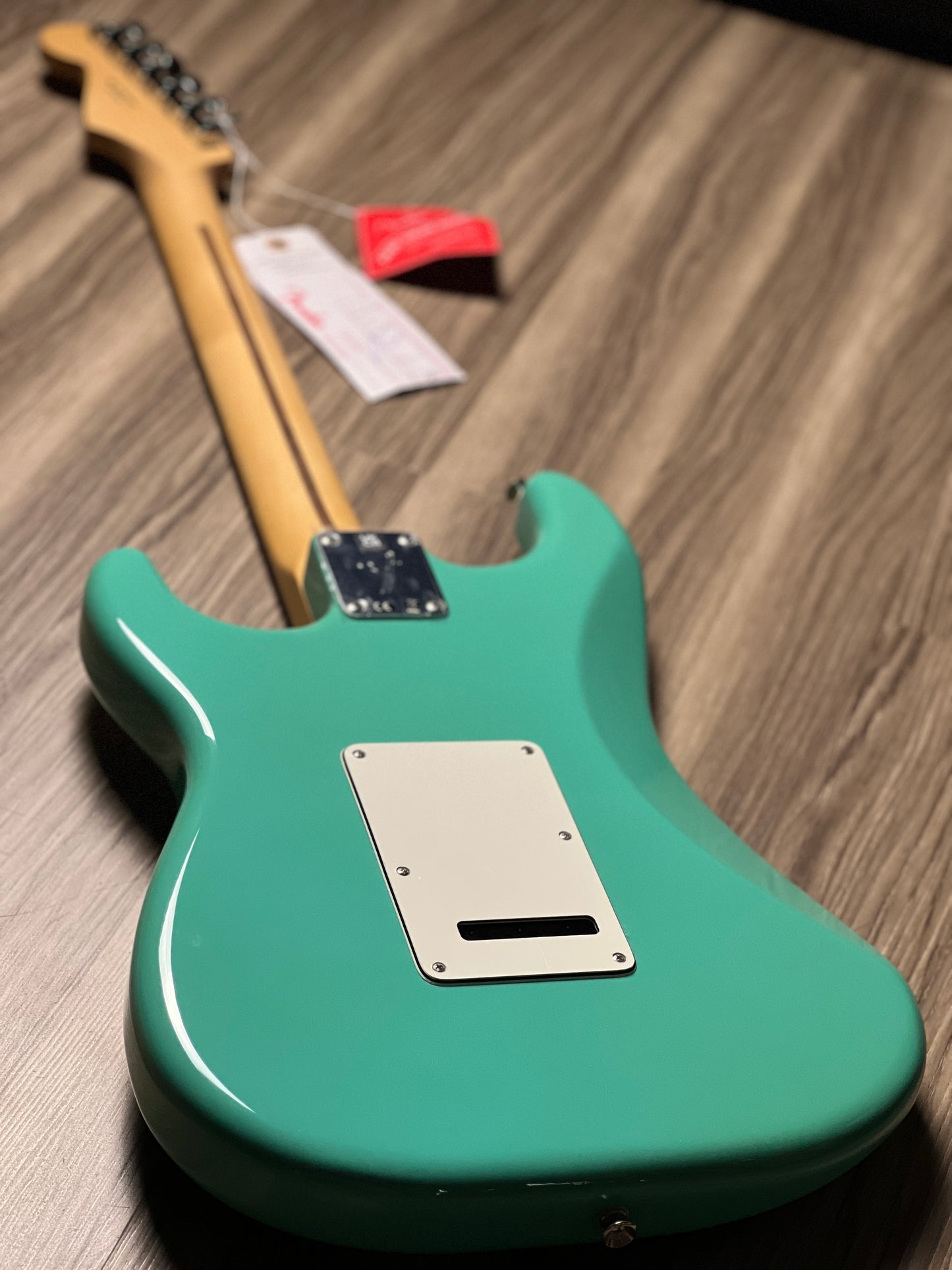 Fender Player Stratocaster and Pau Ferro FB in Sea Foam Green